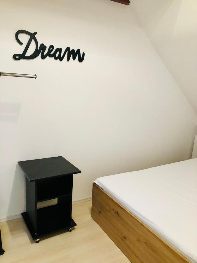 Ultra-Central Modern And Big Apartments In Union Square U41-U44 Timisoara Esterno foto