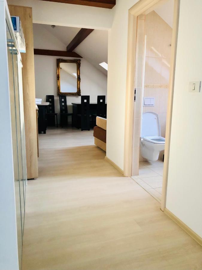 Ultra-Central Modern And Big Apartments In Union Square U41-U44 Timisoara Esterno foto