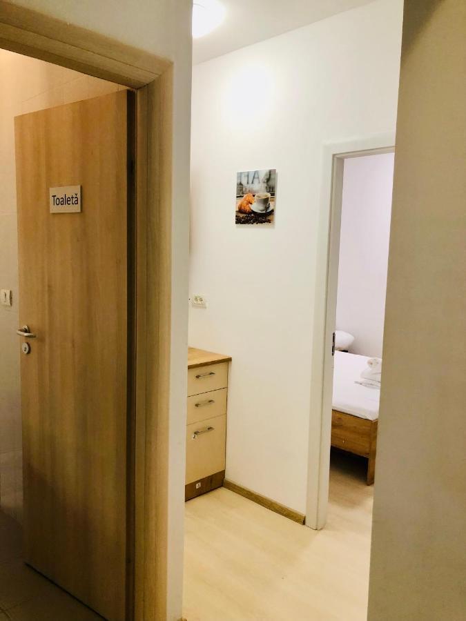Ultra-Central Modern And Big Apartments In Union Square U41-U44 Timisoara Esterno foto