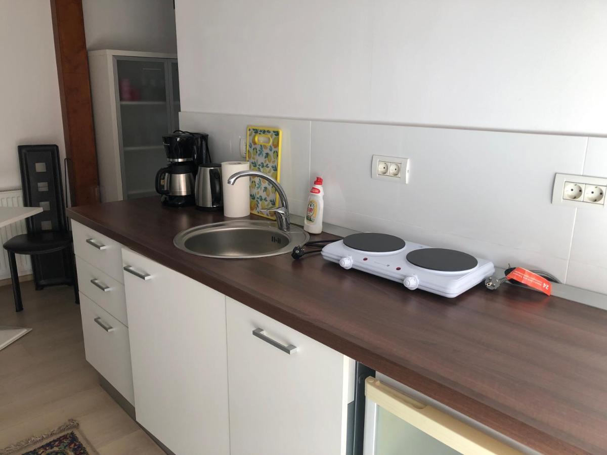 Ultra-Central Modern And Big Apartments In Union Square U41-U44 Timisoara Esterno foto