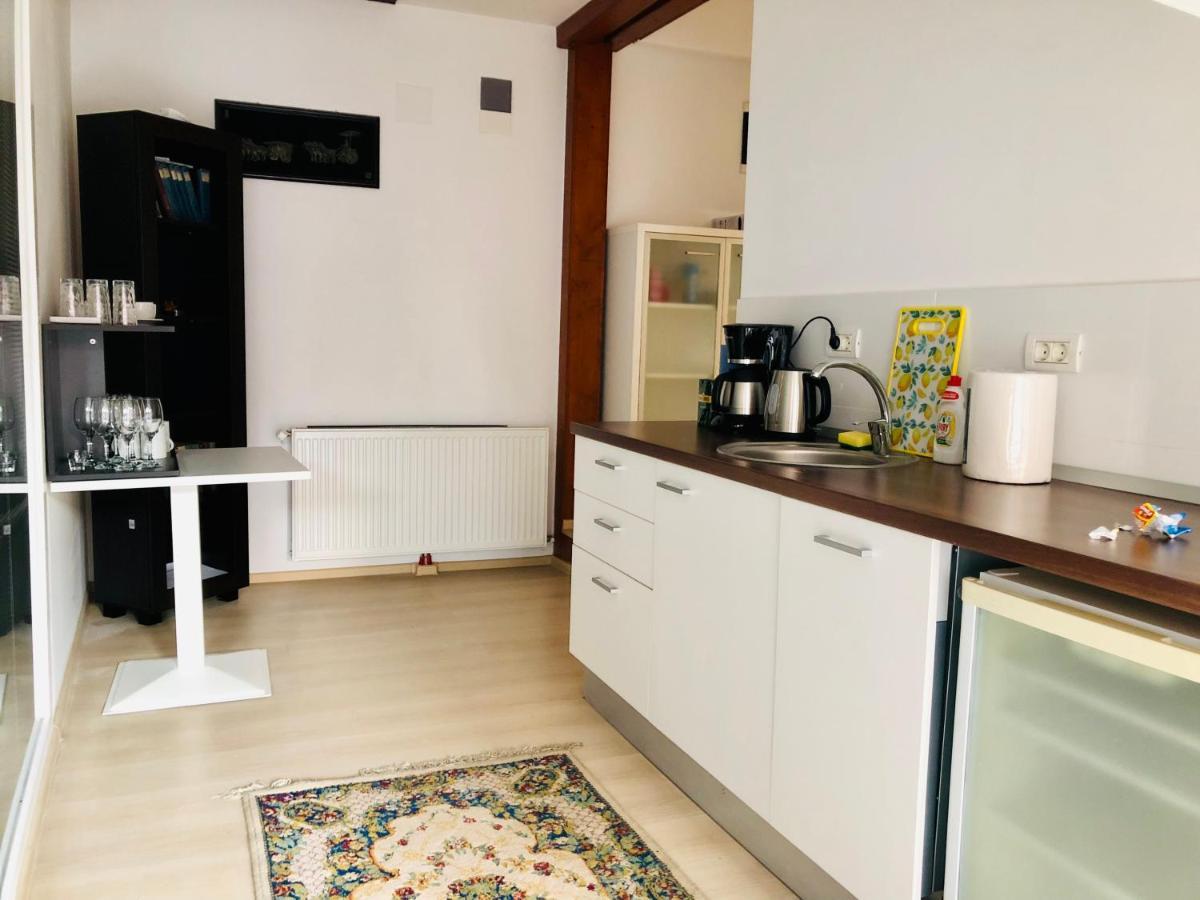 Ultra-Central Modern And Big Apartments In Union Square U41-U44 Timisoara Esterno foto