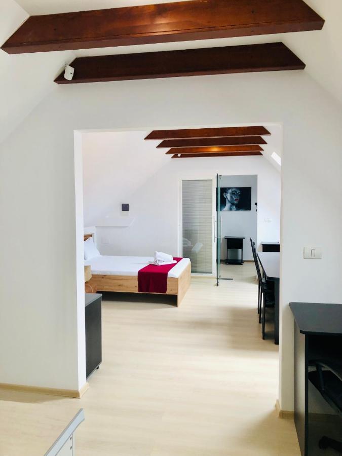 Ultra-Central Modern And Big Apartments In Union Square U41-U44 Timisoara Esterno foto