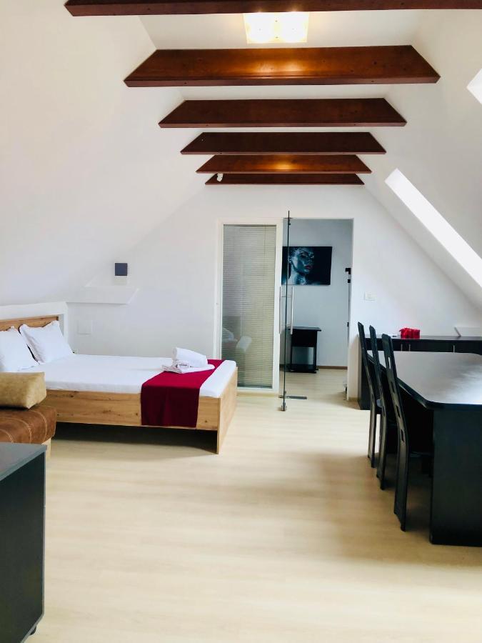 Ultra-Central Modern And Big Apartments In Union Square U41-U44 Timisoara Esterno foto