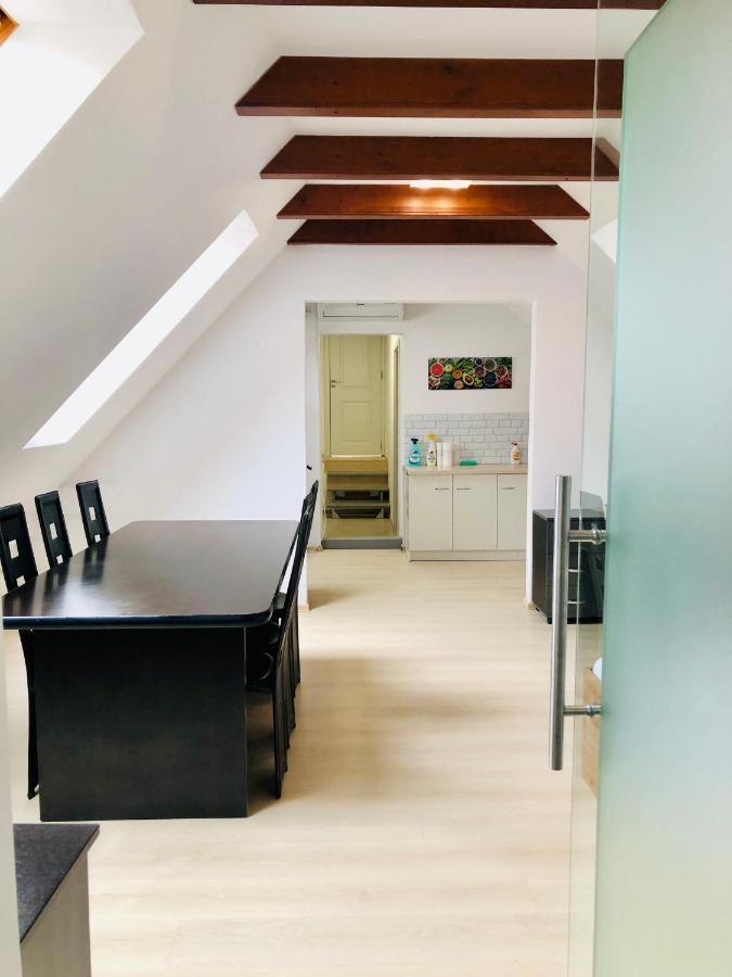 Ultra-Central Modern And Big Apartments In Union Square U41-U44 Timisoara Esterno foto