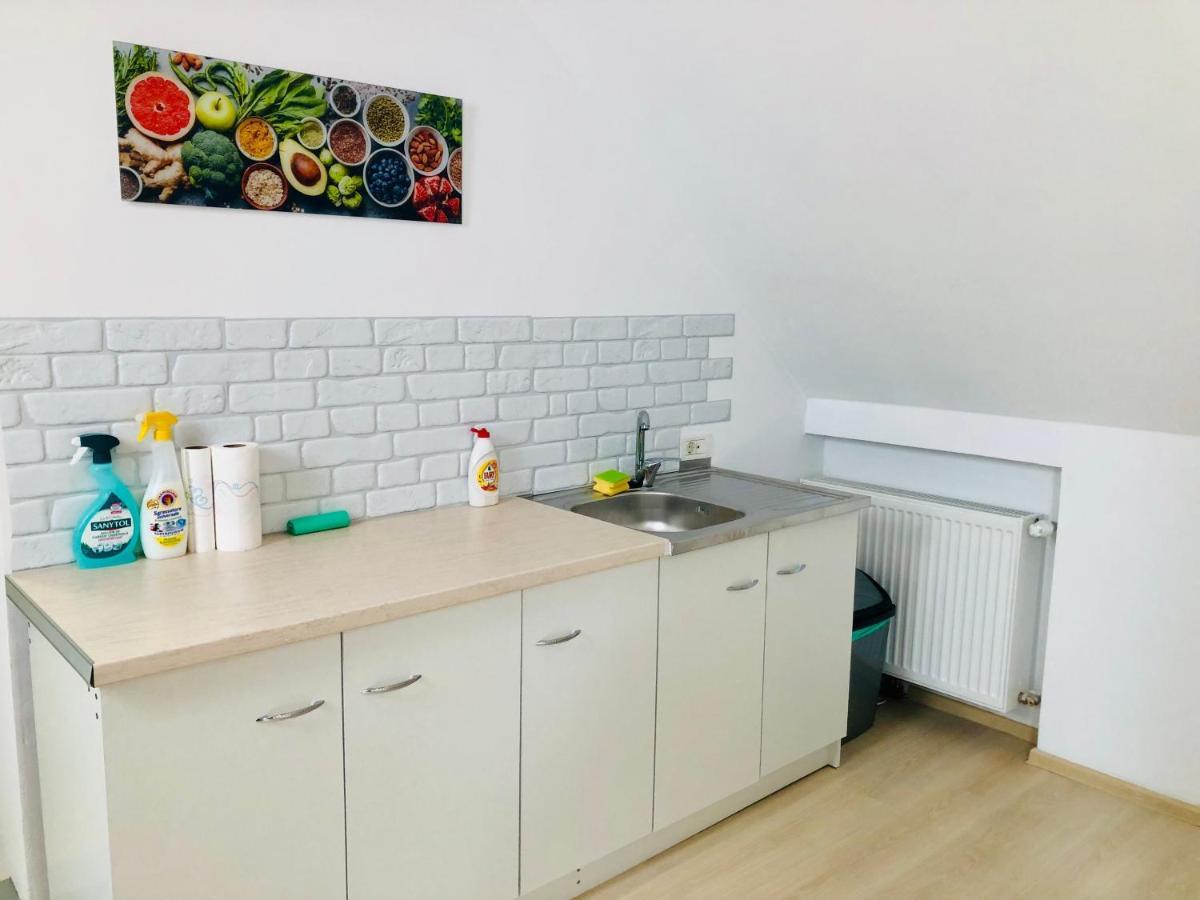 Ultra-Central Modern And Big Apartments In Union Square U41-U44 Timisoara Esterno foto