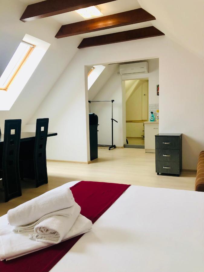 Ultra-Central Modern And Big Apartments In Union Square U41-U44 Timisoara Esterno foto